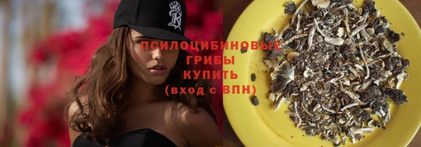 спиды Чердынь