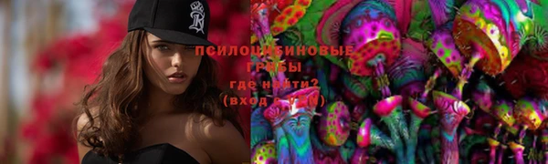 стафф Чекалин