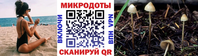 Псилоцибиновые грибы Magic Shrooms Николаевск-на-Амуре