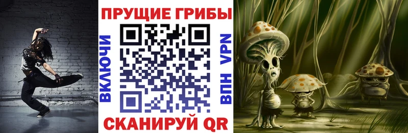 Псилоцибиновые грибы Magic Shrooms  KRAKEN ONION  Николаевск-на-Амуре  наркотики 
